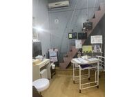 ３月のサロン風景