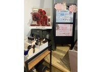 4月のサロン風景