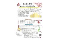 美肌通信４月号